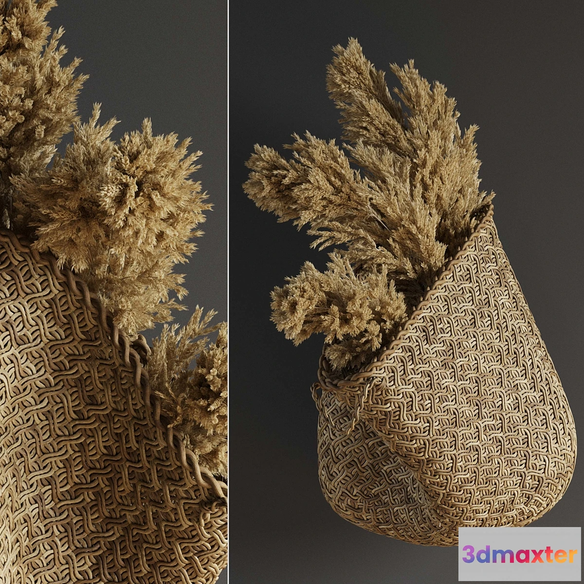 550759 - Pampas flower in hand basket