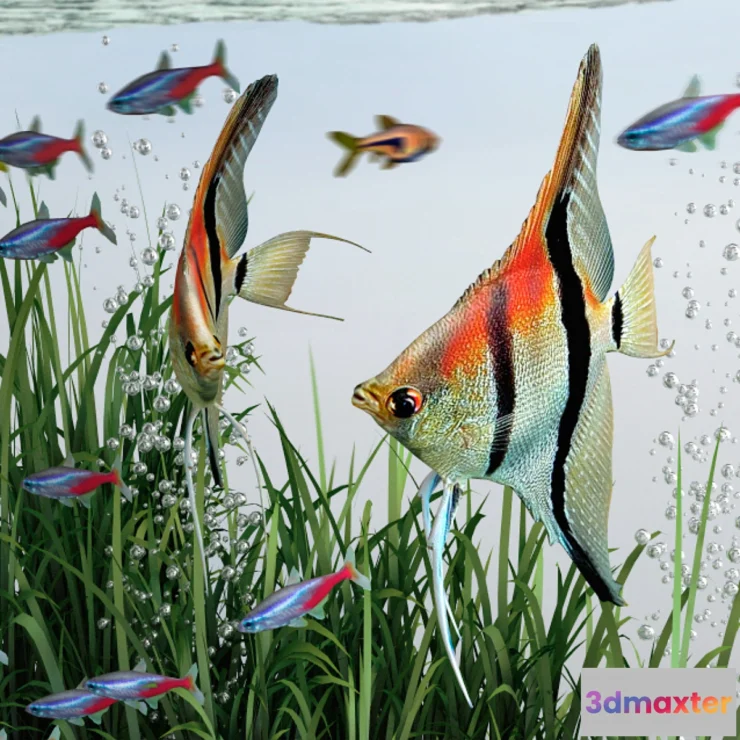 576644 - BiOrb 15L Flow Aquarium