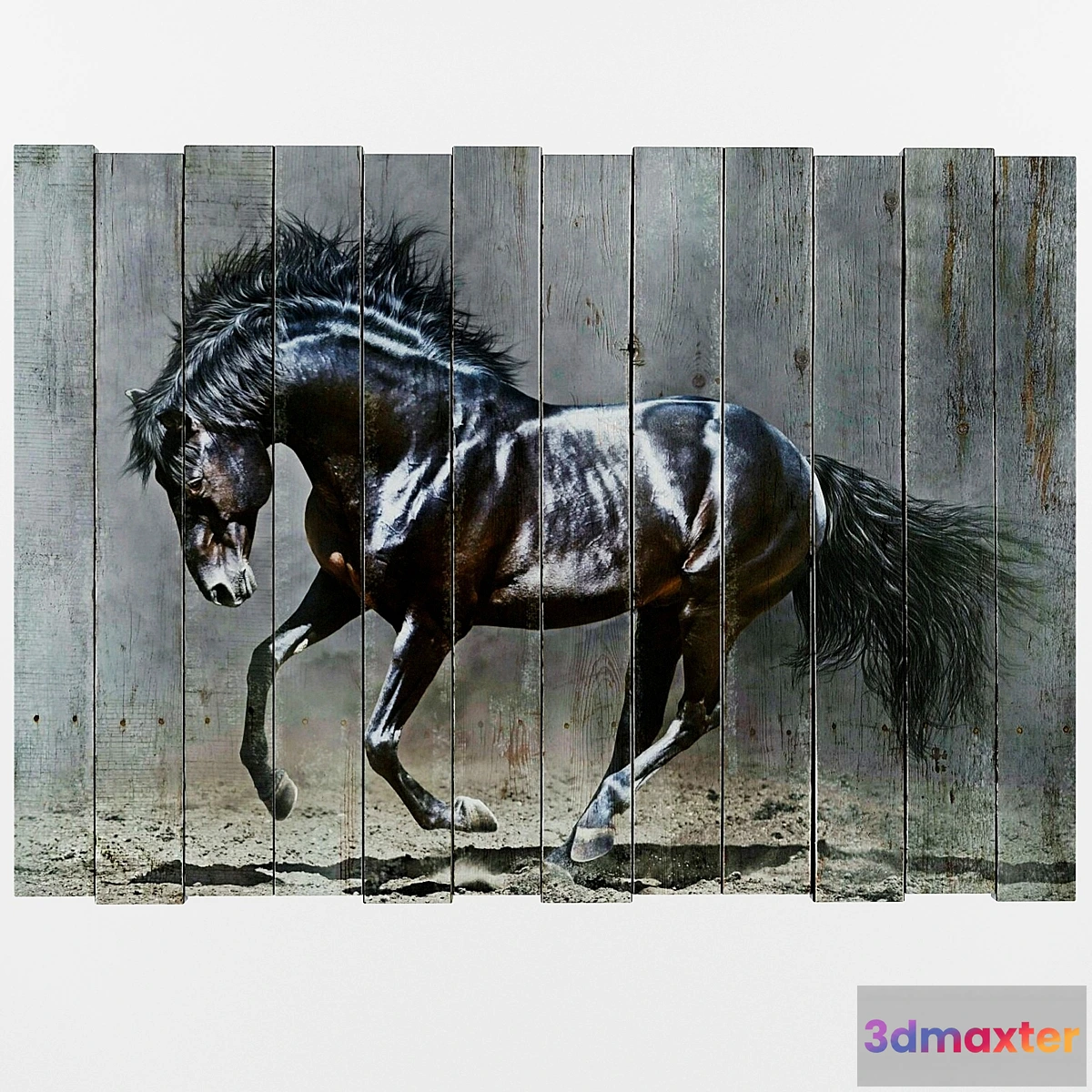 581060 - Horse picture