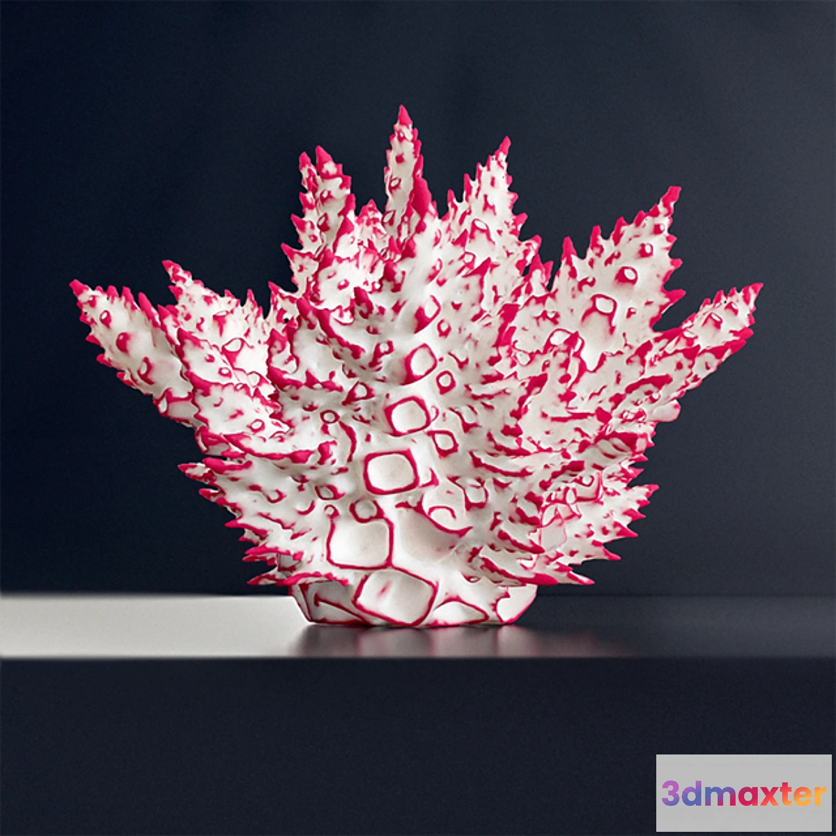 581750 - «Octopus»