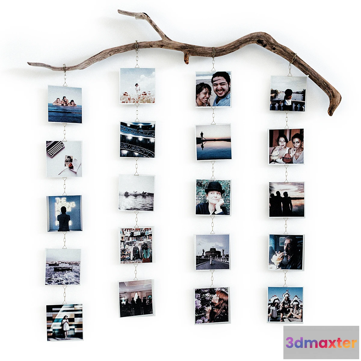 594568 - Photo branch