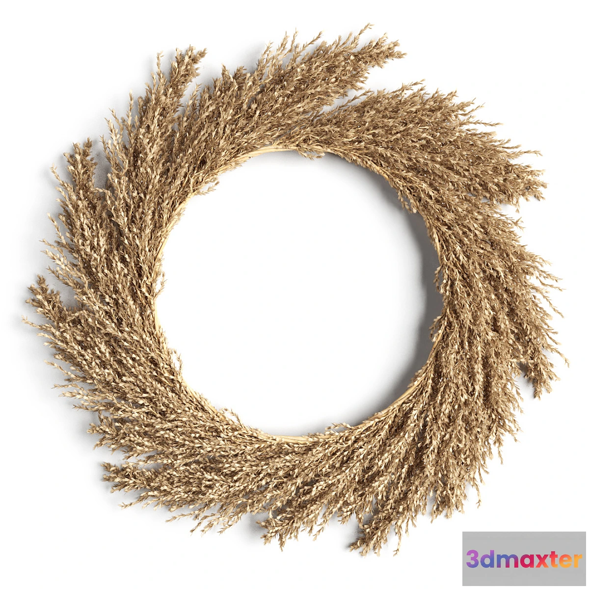 594576 - Pampas wreath
