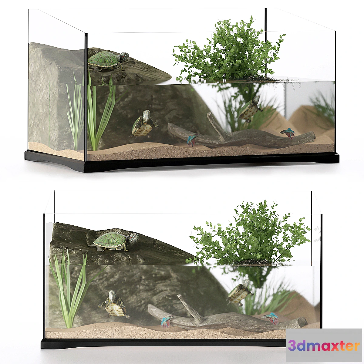 618271 - Terrarium for turtles