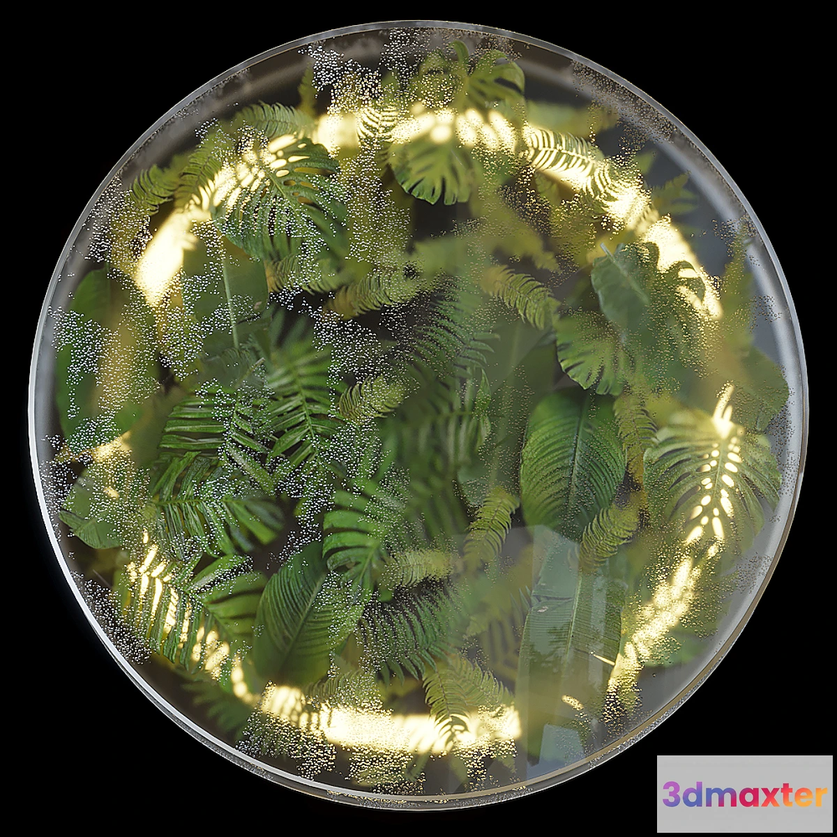 618695 - Greenbox - wall-mounted phytomodule with lighting Vargov Design