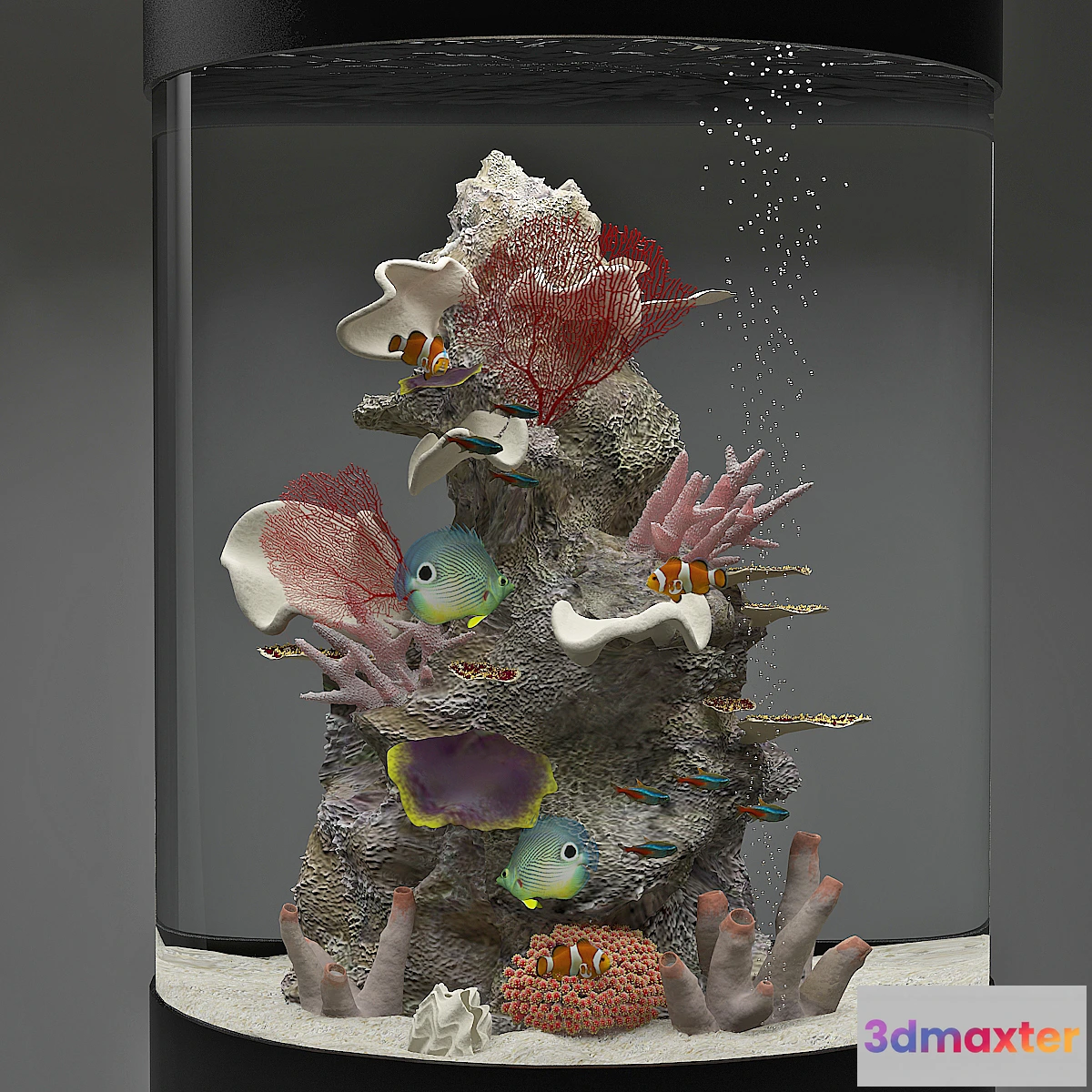 619901 - Aquarium - No.8