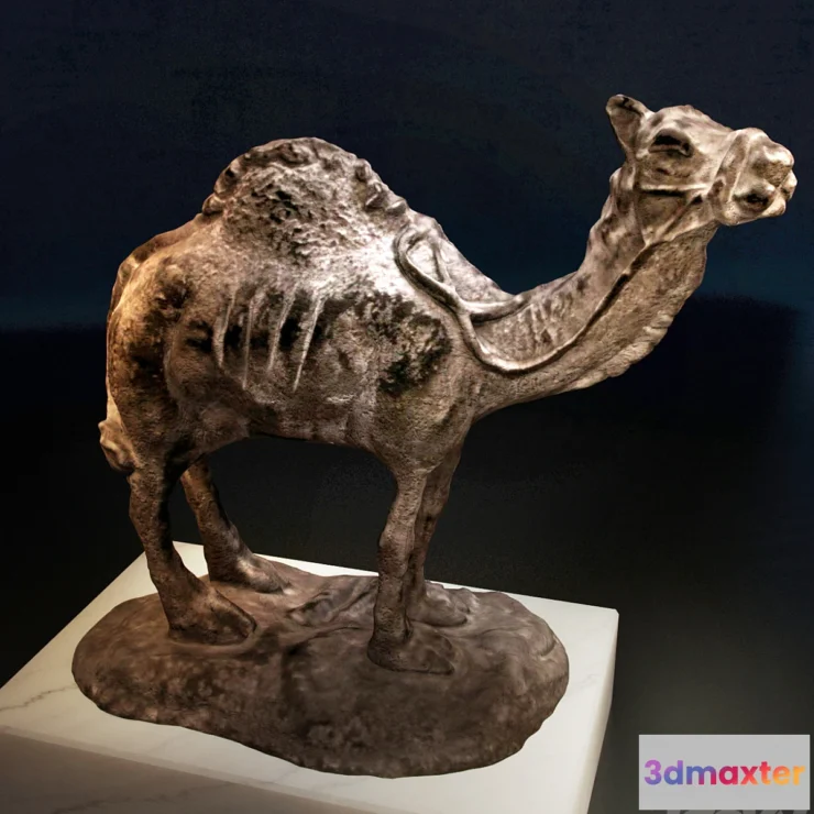 626889 - Camel - No.3