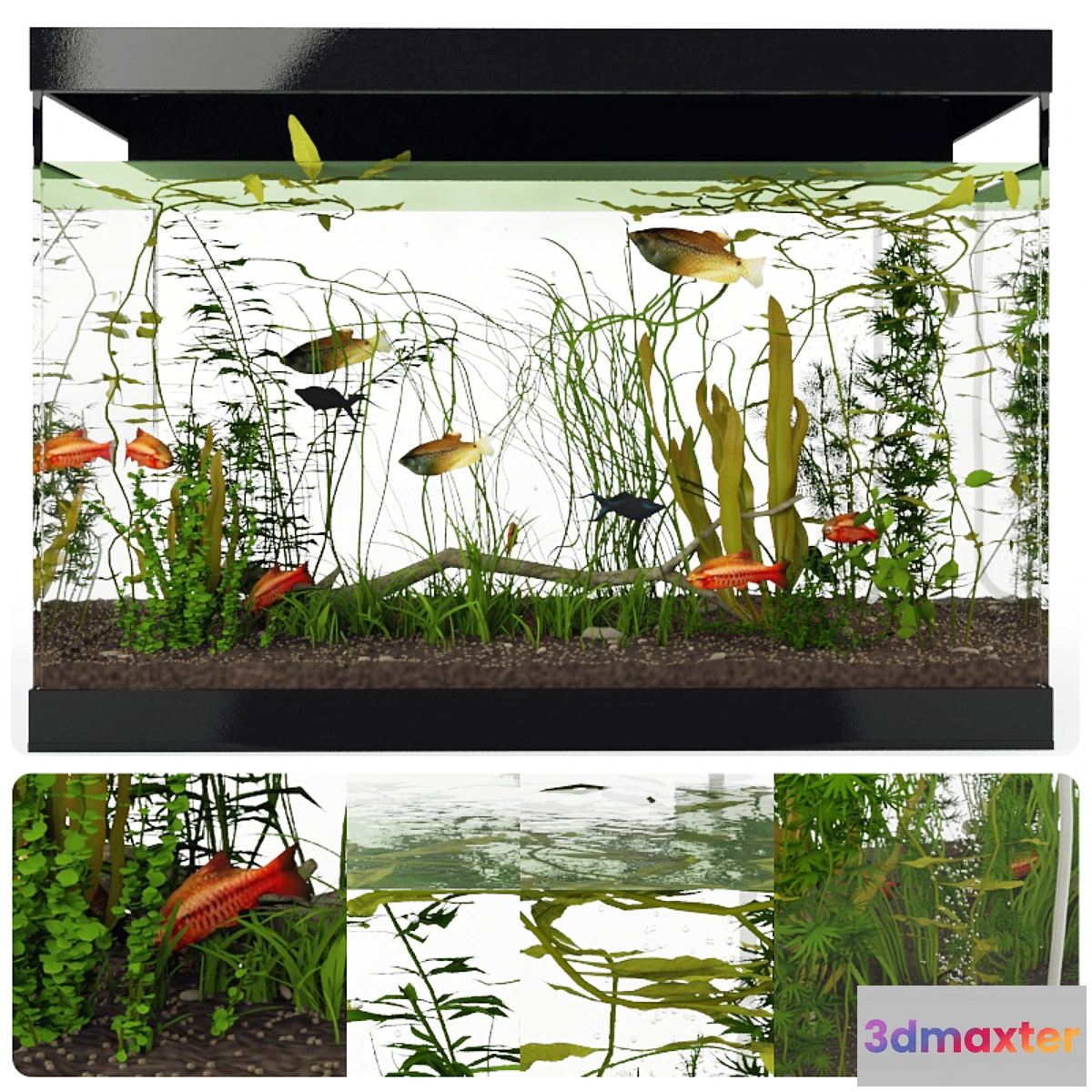 627421 - Aquarium - No.16