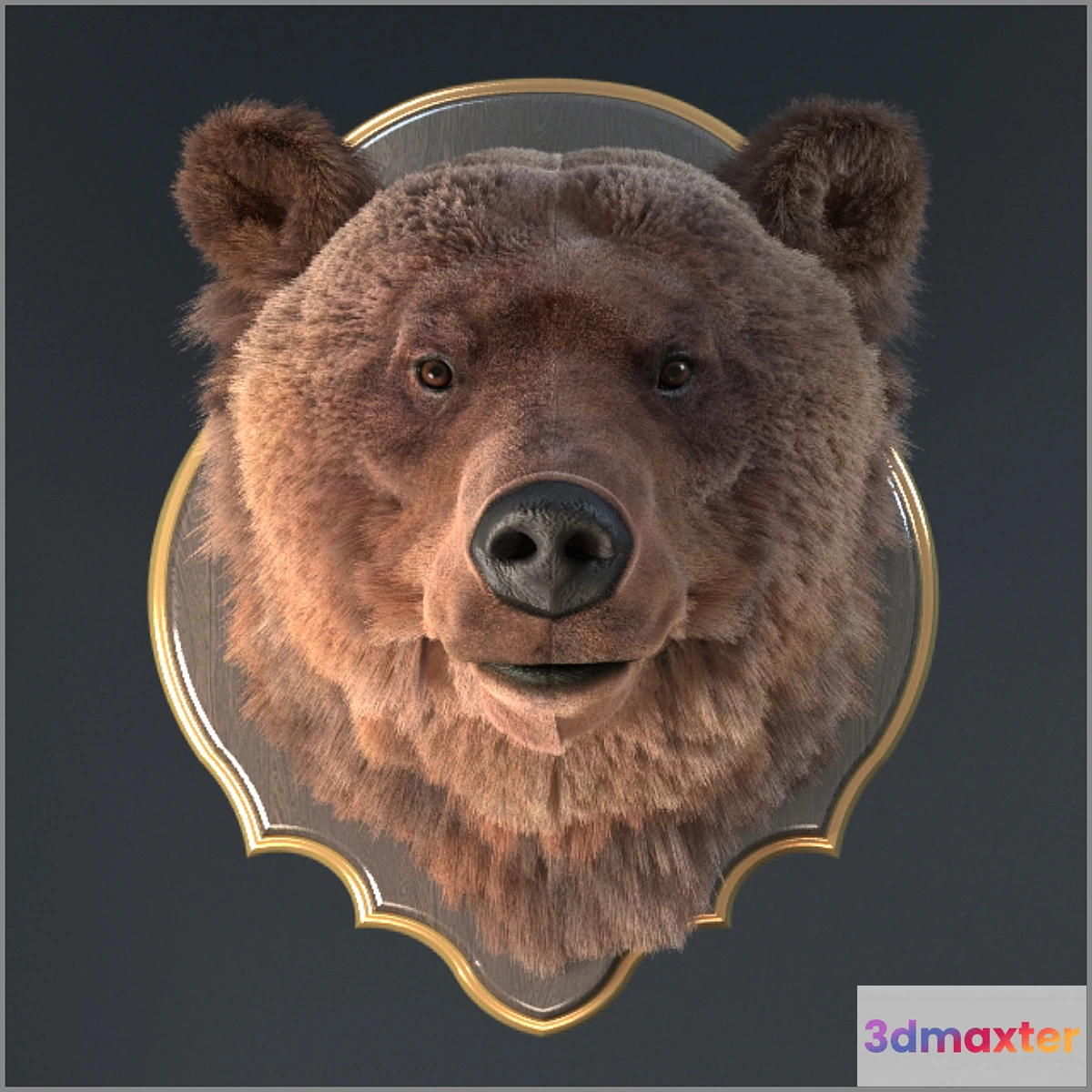 638337 - Bear