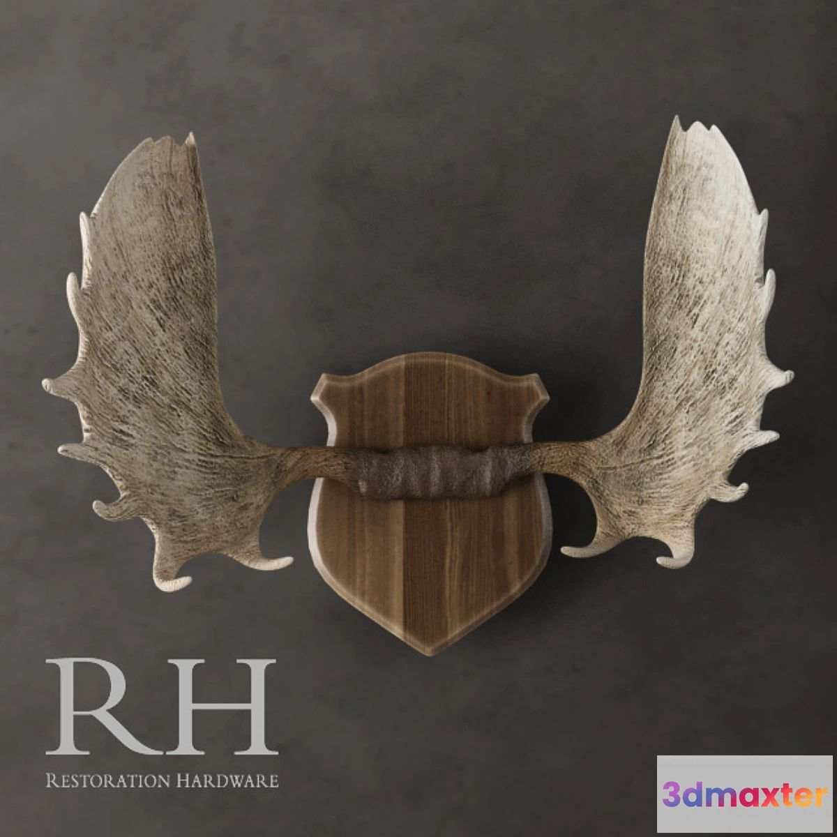 643895 - Restoration Hardware - Moose Antlers in Cast Resin