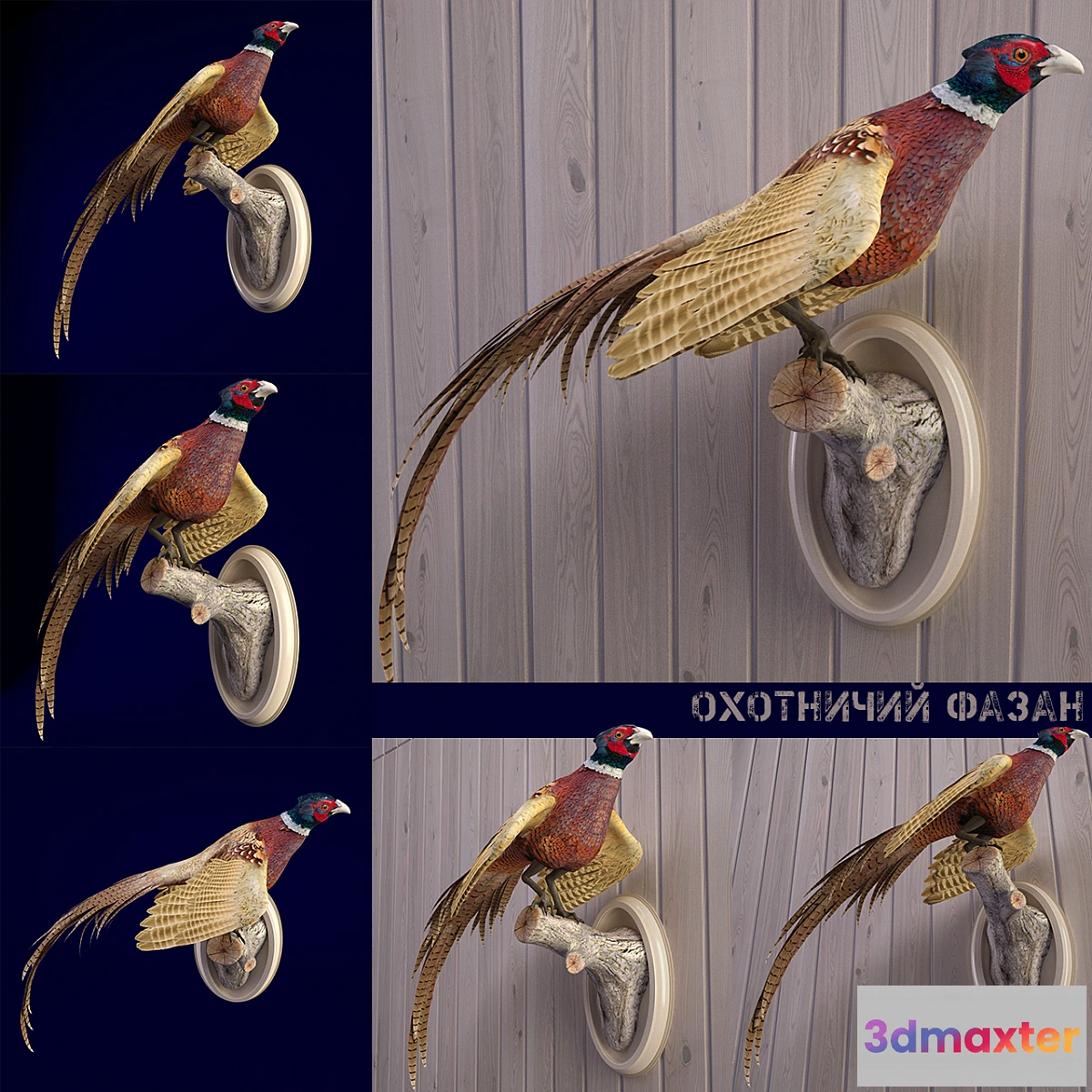 643899 - Scarecrow PHEASANT