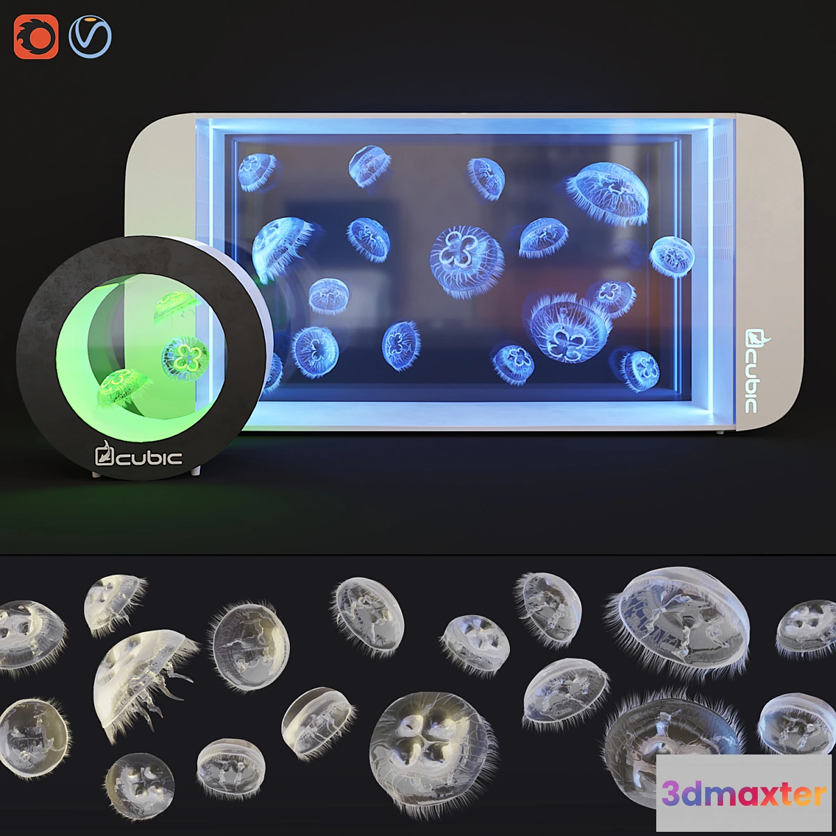 653673 - Aquarium for jellyfish Pulse 160_20