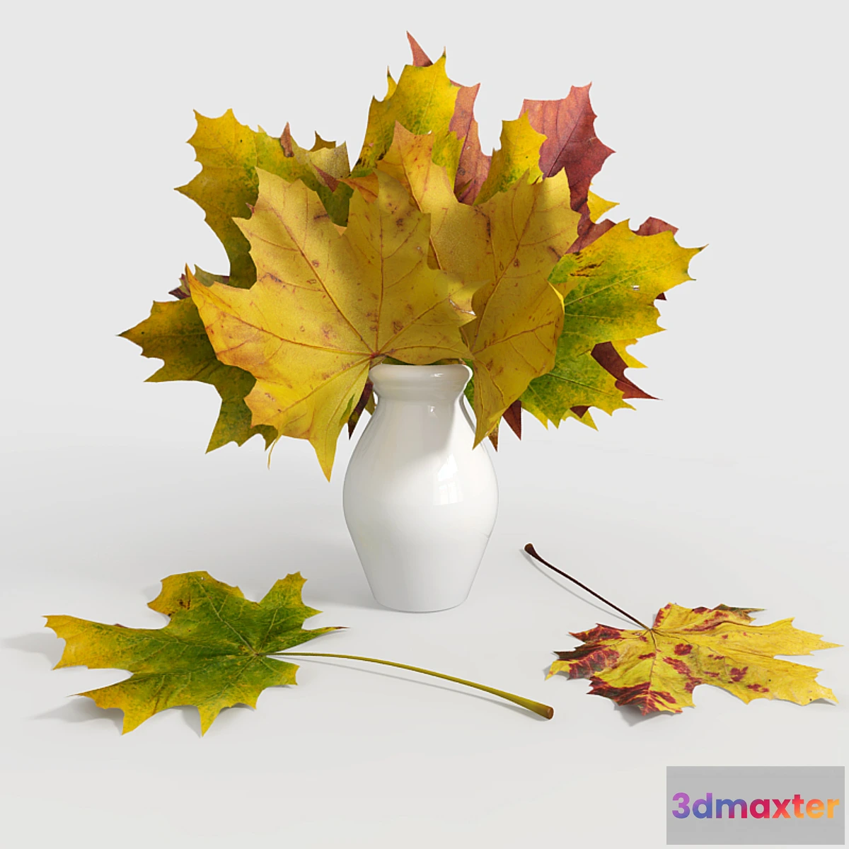 672087 - Maple leaves in a vase