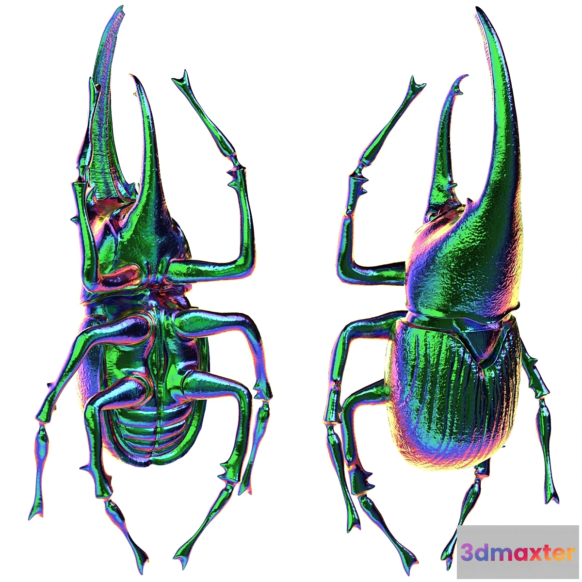 681384 - Beetle III wall accessory