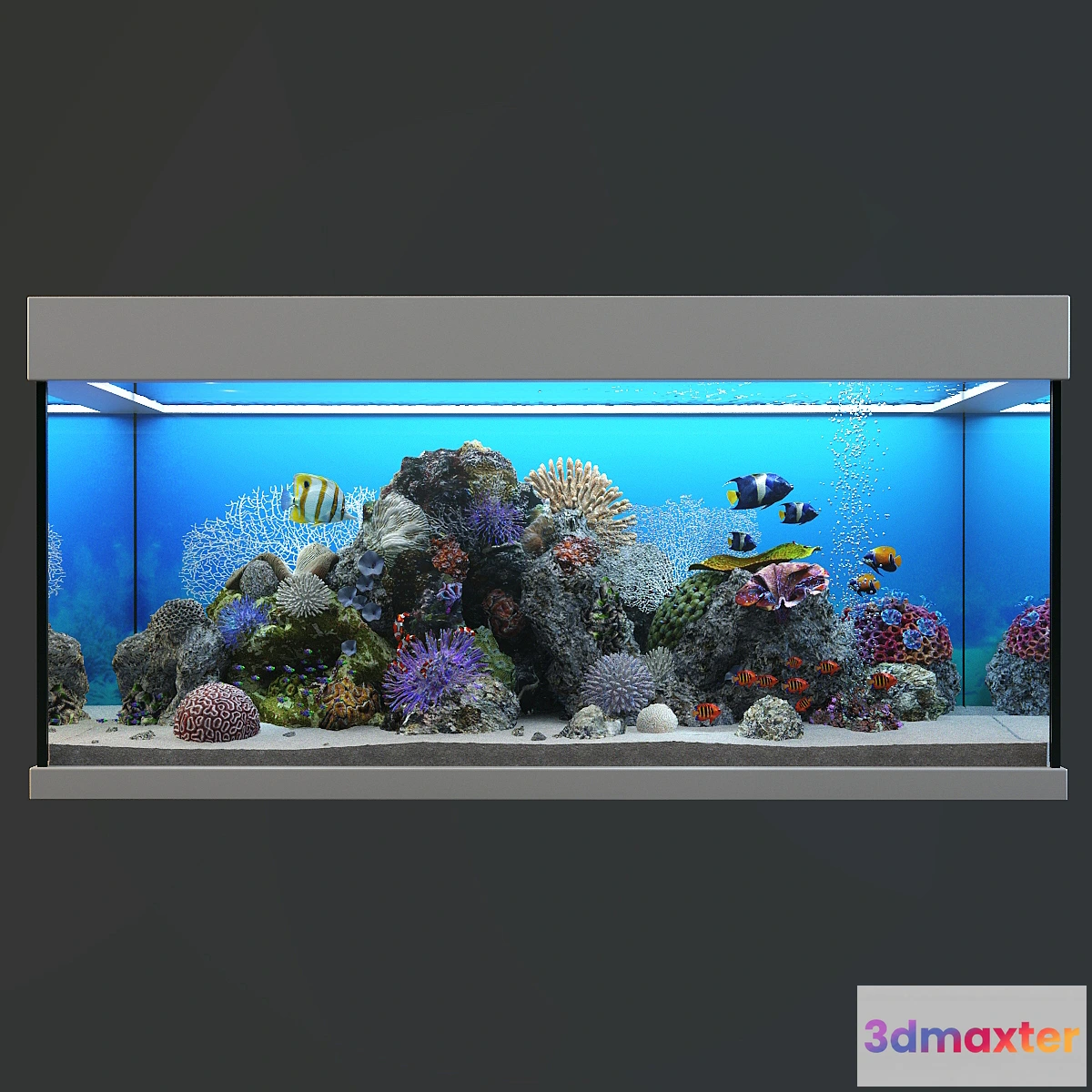 681538 - Marine Aquarium - No.2