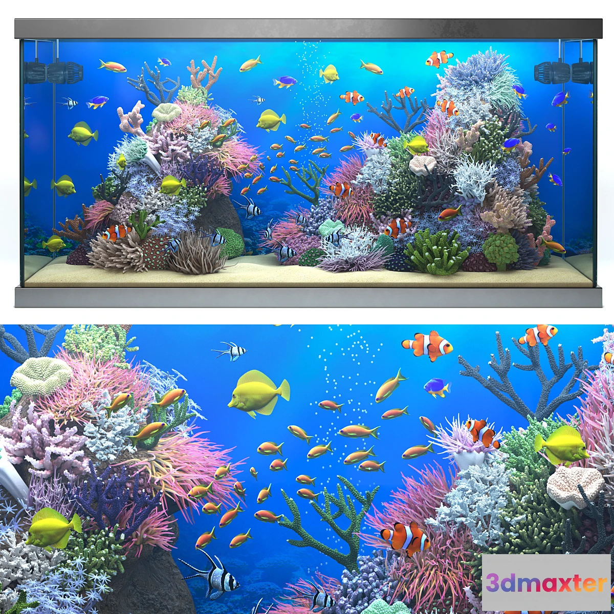 717154 - Seawater aquarium - No.3