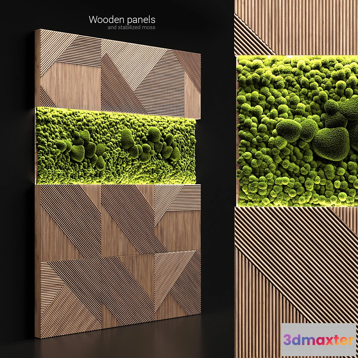 717620 - Wooden panels and stabilized moss - No.2