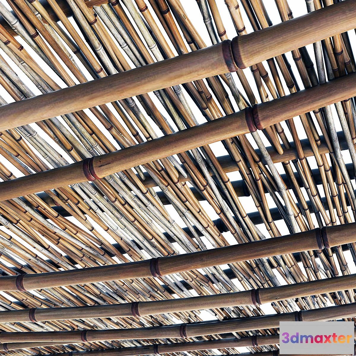 767301 - Branch bamboo long low n2