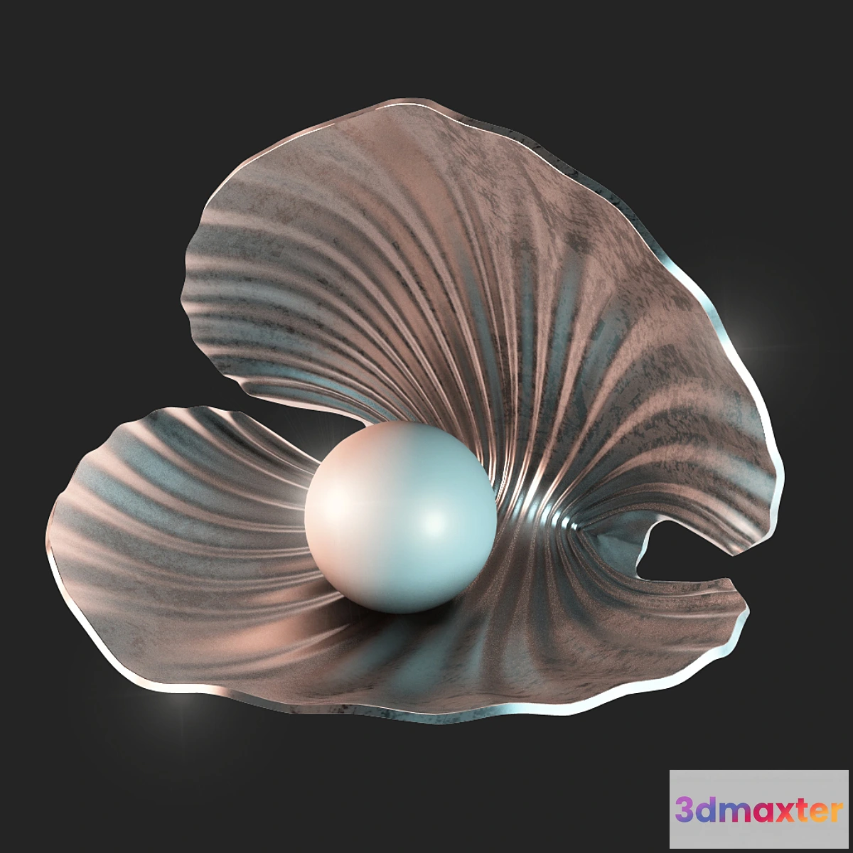 793714 - shell - No.4