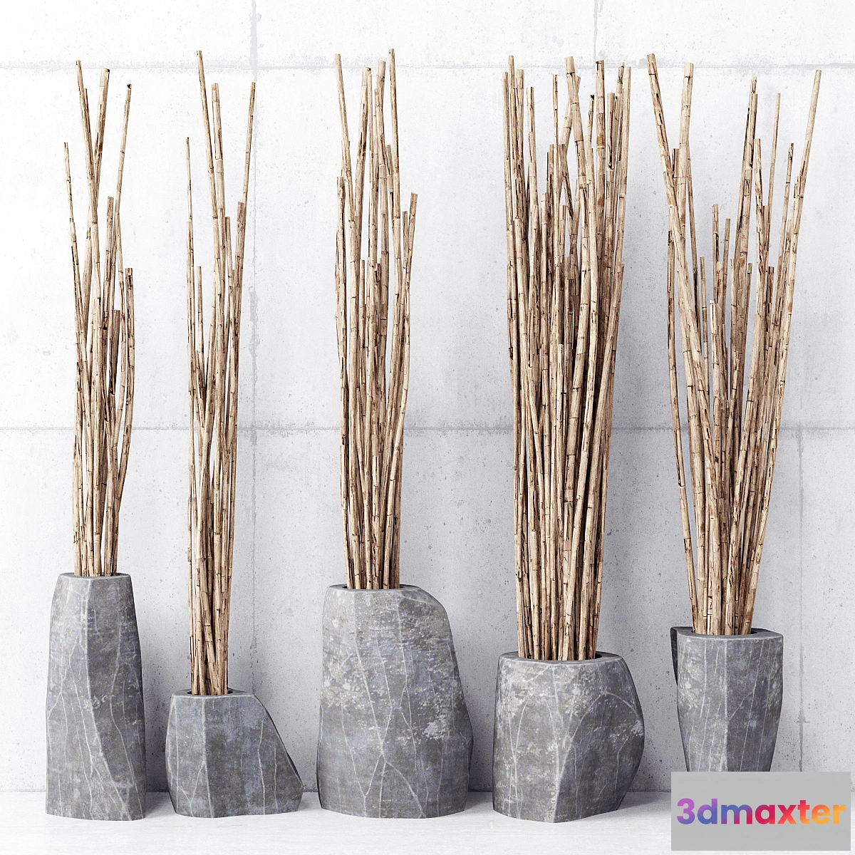 813428 - Branches in vases - No.3