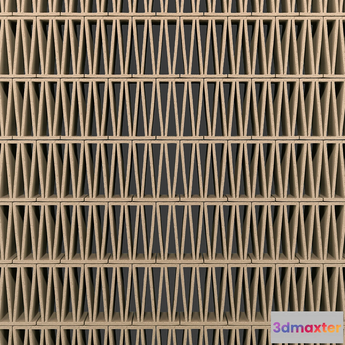 828294 - Mutina celosia - No.3