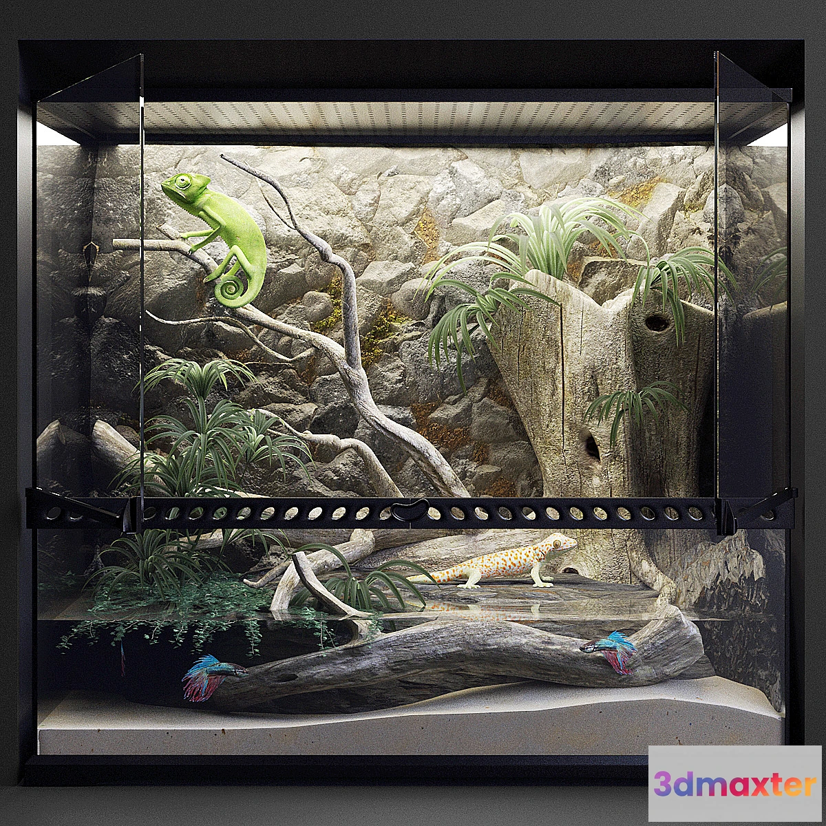 828388 - Terrarium - No.3