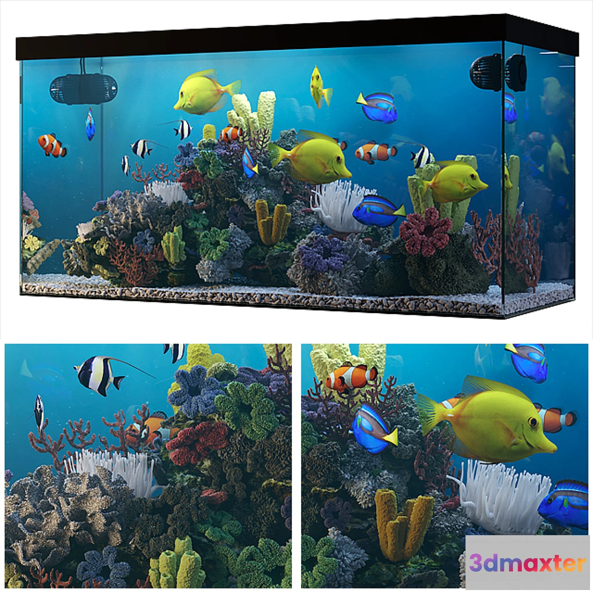 828422 - Seawater aquarium - No.7