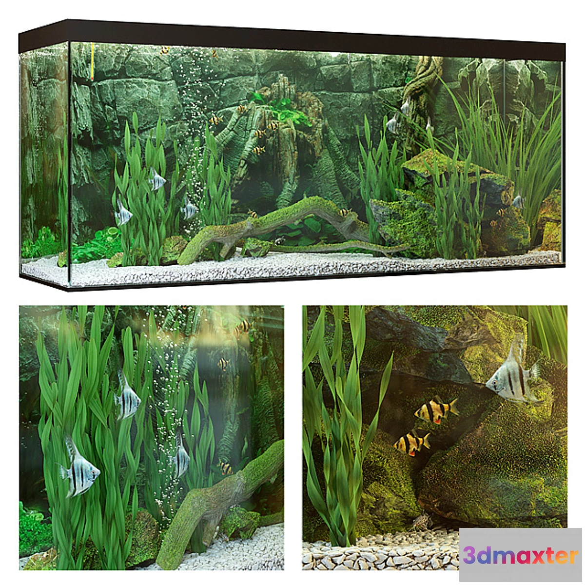 828836 - Aquarium - No.33