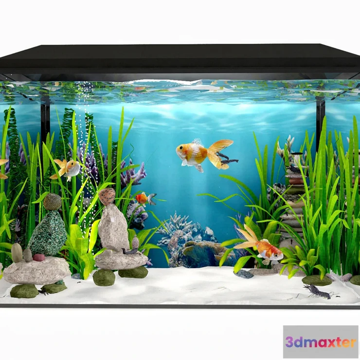 845141 - Aquarium - No.37