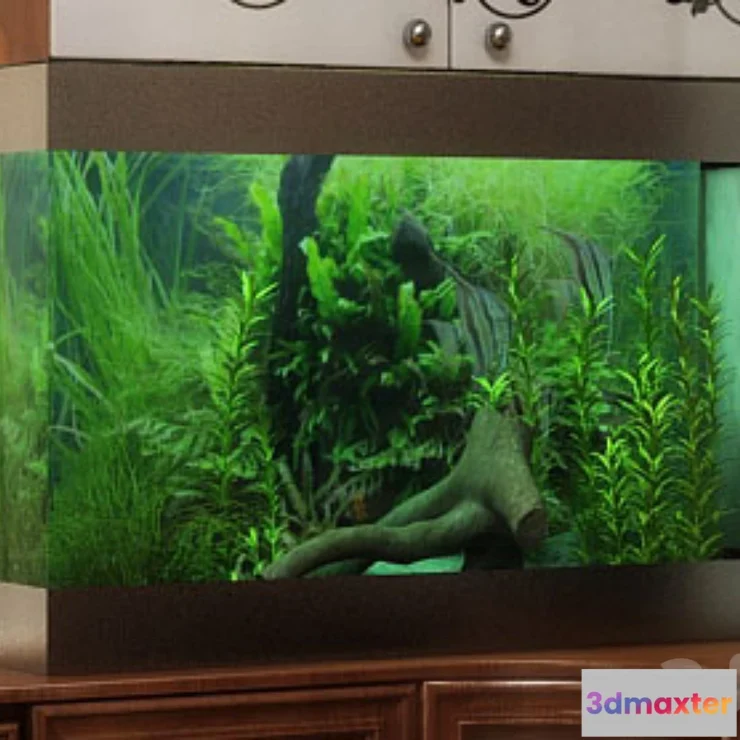 845145 - Aquarium - No.38