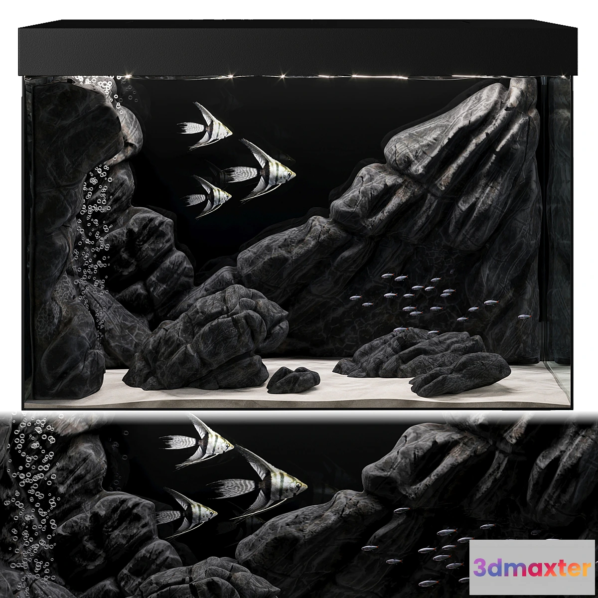 851099 - Aquarium - No.42