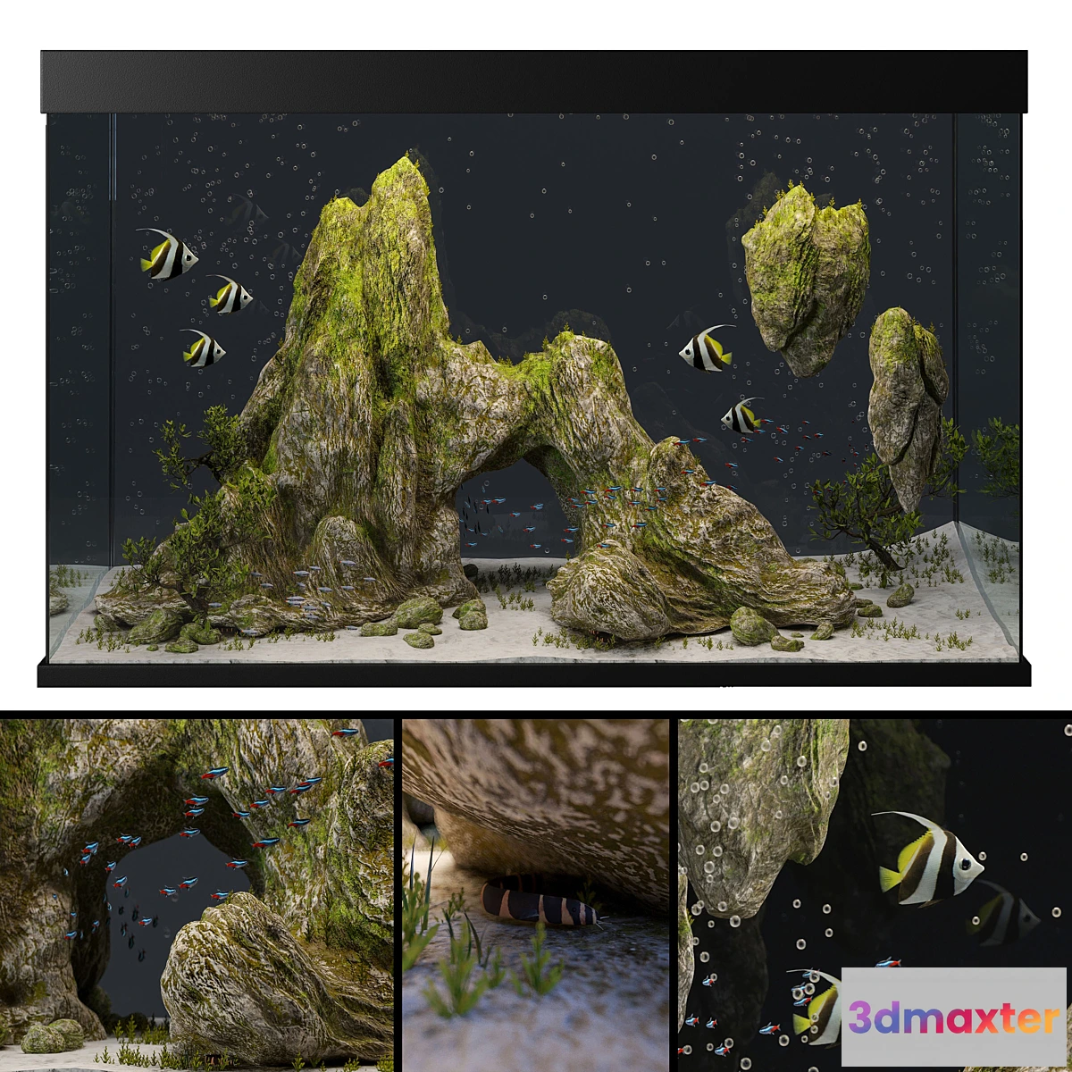 851113 - Aquarium with rocks and moss - No.3