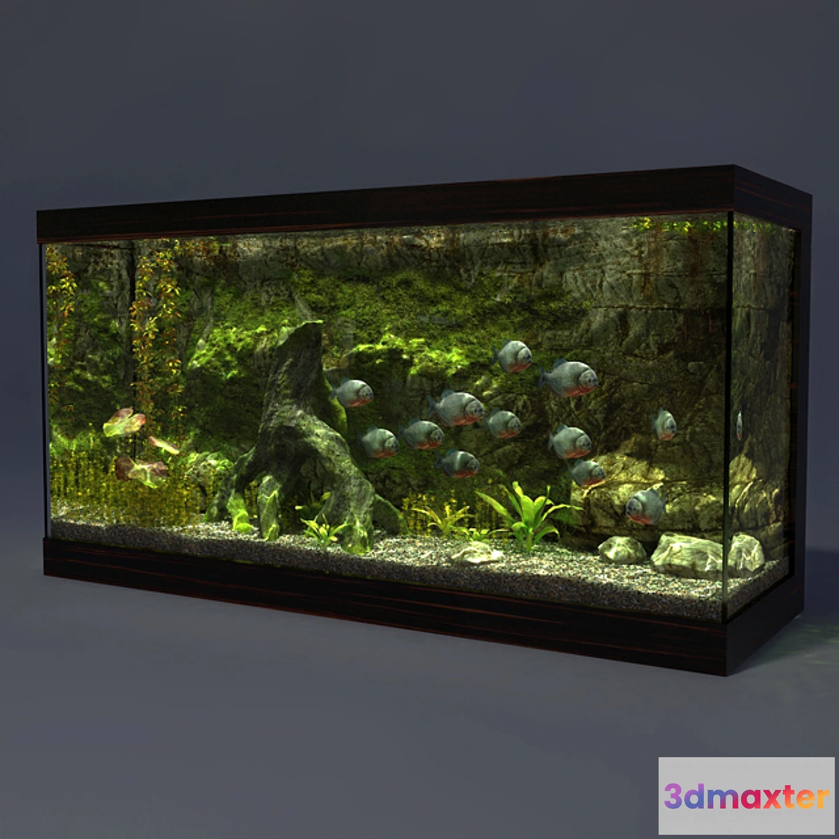 868951 - Aquarium - No.43