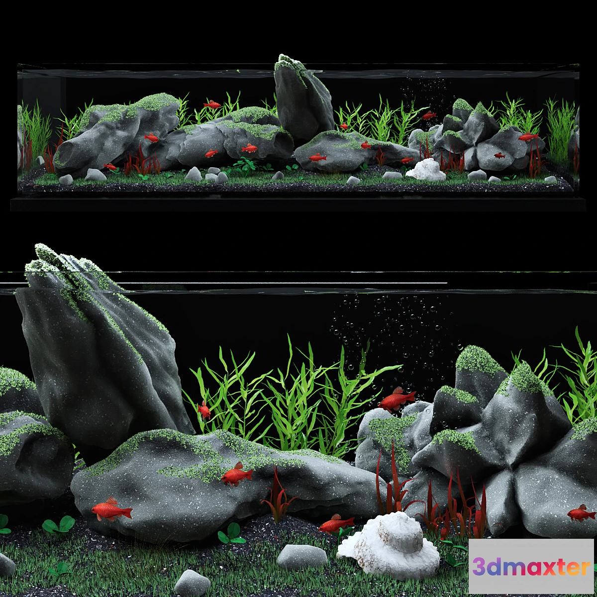 896766 - Aquarium - No.47