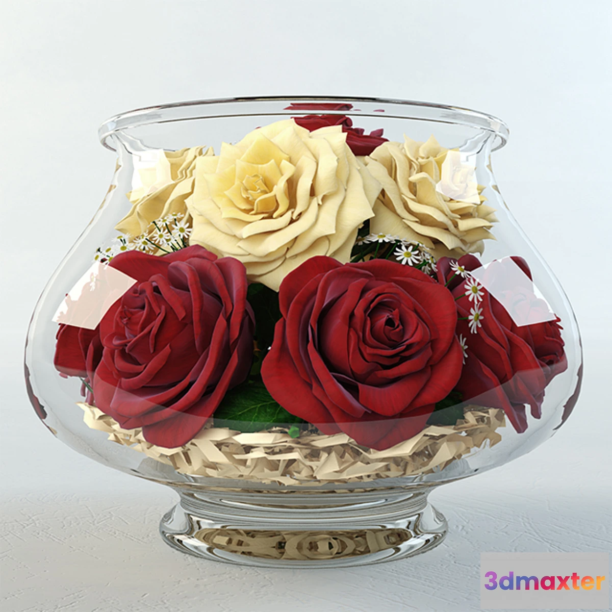 902776 - Aquarium roses
