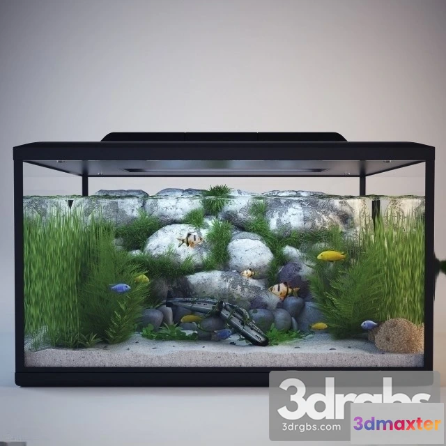 928112 - Aquarium 01