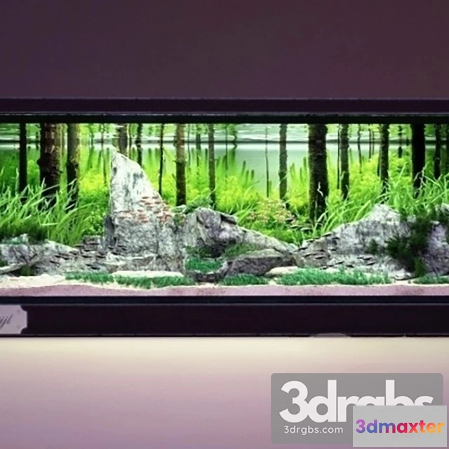 928114 - Aquarium 02