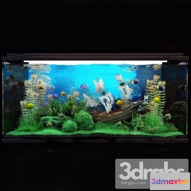 928116 - Aquarium 03