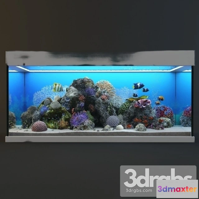 928118 - Aquarium 04
