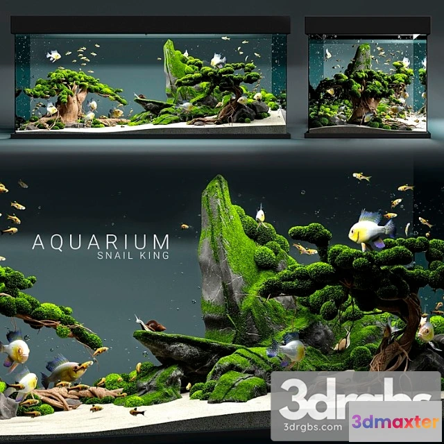 928126 - Aquarium Snail King