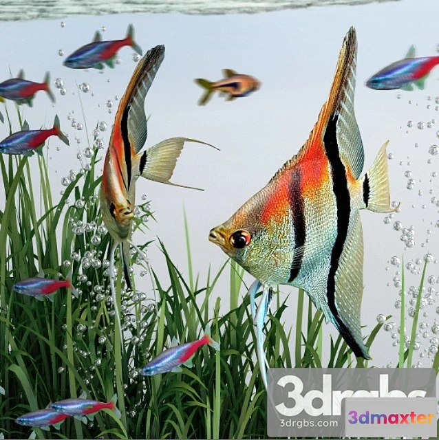 928282 - BiOrb 15L Flow Aquarium