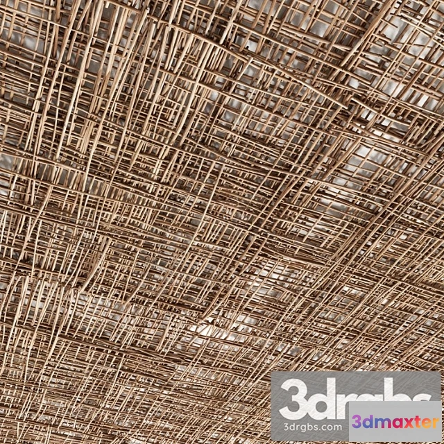 928314 - Bramch ceiling