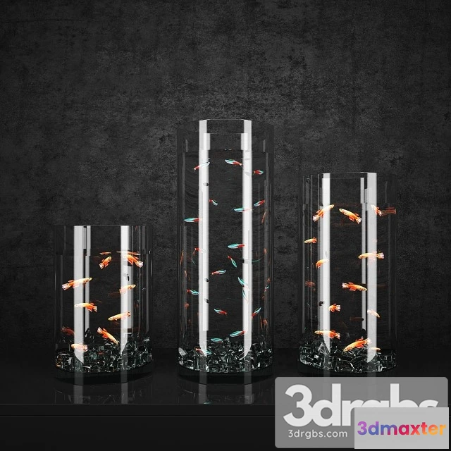 928464 - Cicle Aquarium