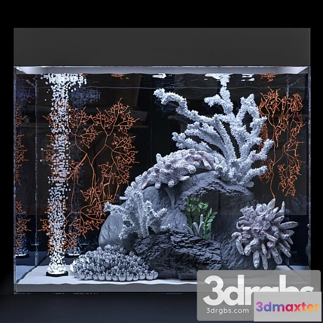 929422 - Marine Aquarium