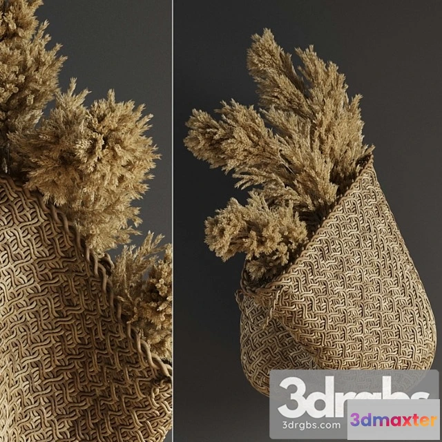 929564 - Pampas flower in hand basket