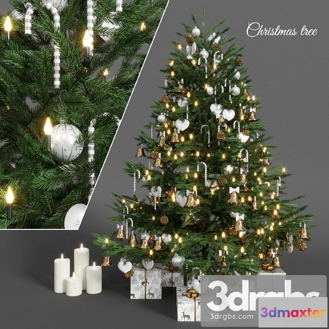 929652 - Plant Christmas tree