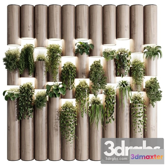 929658 - Plants Set Partition In Wooden Frame Vertical Graden Wall Decor Box 30