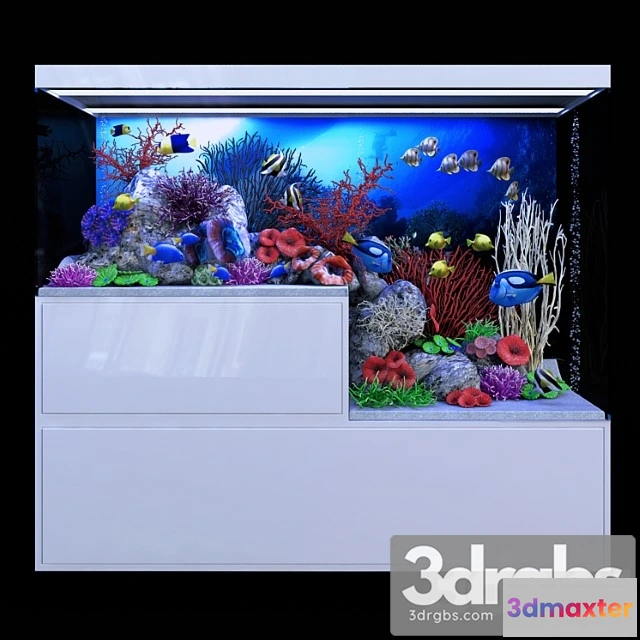 929764 - Seawater aquarium