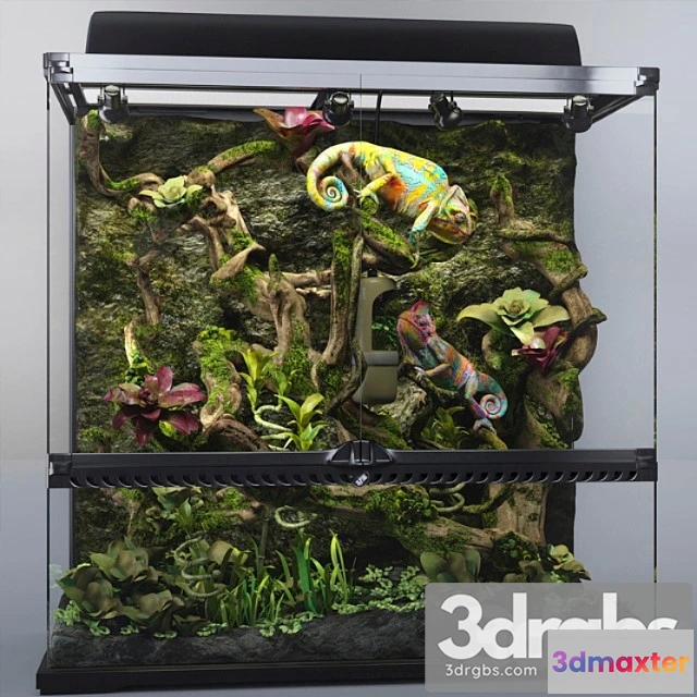 929890 - Terrarium exo-terra with chameleons