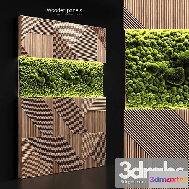 930264 - Wooden panels and stabilized moss