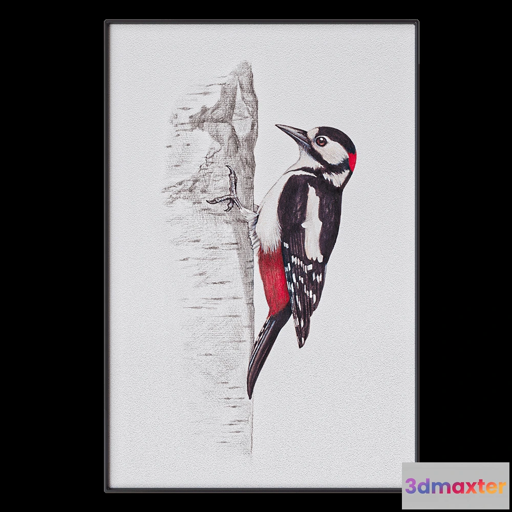 1602152 - NC Design group - Picture SLU16 3D Max